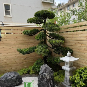 金盾花園竣工實景